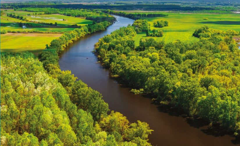 Tárnai Csaba : Tisza