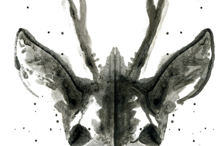 Felix Salten : Bambi