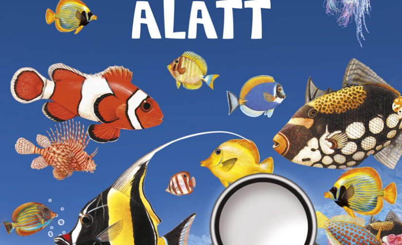 Nagyítóval a tenger alatt