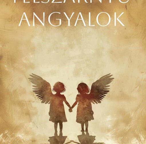Bálint Erika : Félszárnyú angyalok