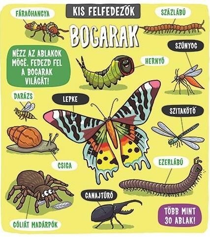Bogarak - Kis felfedezők
